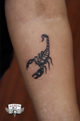 scorpio tattoo scorpio tattoo at best tattoo studion in raipur